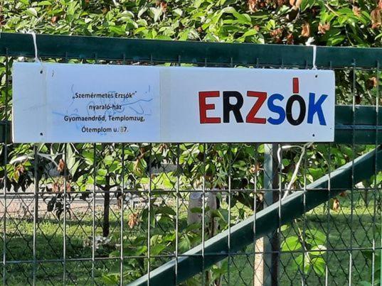 Szemermetes Erzsok Nyaralohaz Villa Gyomaendrod Exterior photo